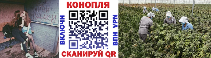 Купить СК МЕФ ГАШИШ Конопля Кедровый
