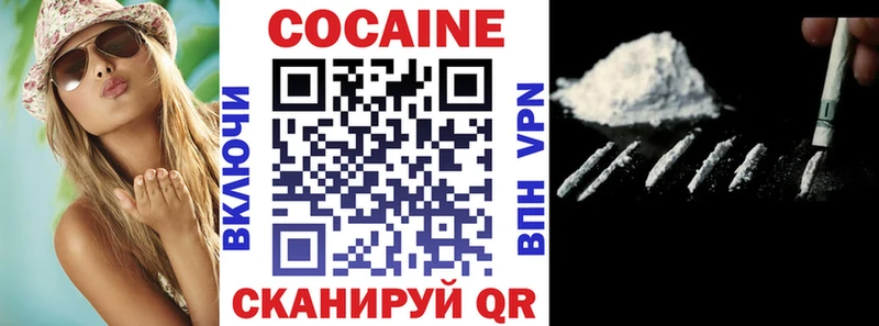 Купить закладки  Кедровый  COCAIN Эквадор 
