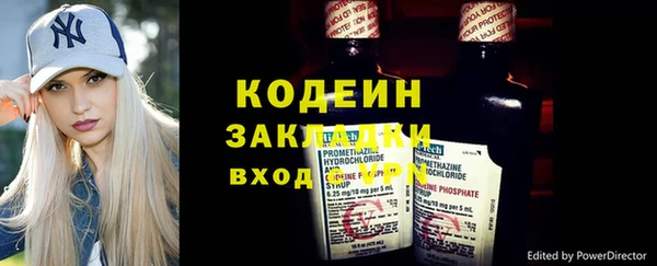 крисы Богородицк