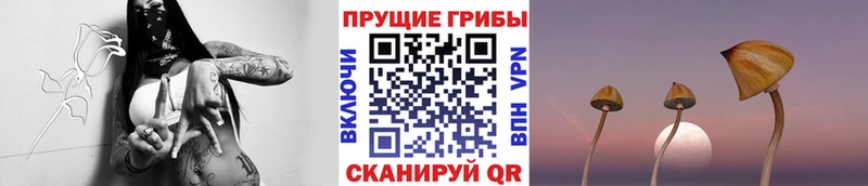 Галлюциногенные грибы GOLDEN TEACHER  Купить закладки  Кедровый 