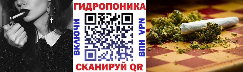 Купить закладки  Кедровый  Бошки Шишки SATIVA & INDICA 